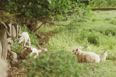 Laila-Versemann-Photography-TCR15-18