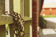 Laila-Versemann-Photography-TCR15-26