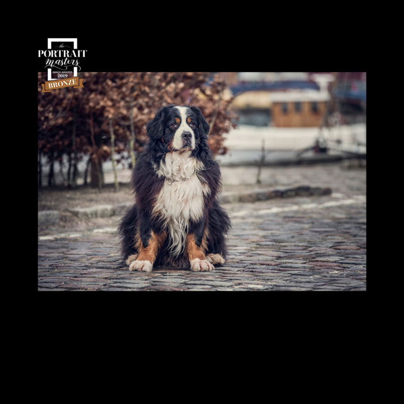 Bronze - The Portrait Masters 2019